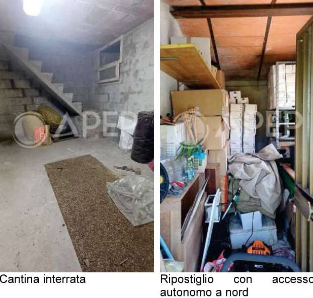 casa indipendente in vendita a Carmignano di Brenta