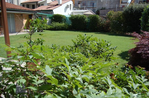 casa indipendente in vendita a Carmignano di Brenta