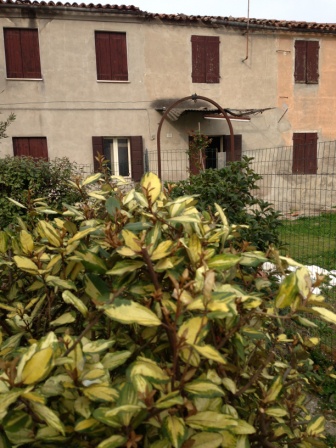 casa indipendente in vendita a Cartura