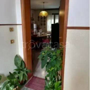 appartamento in vendita a Cartura