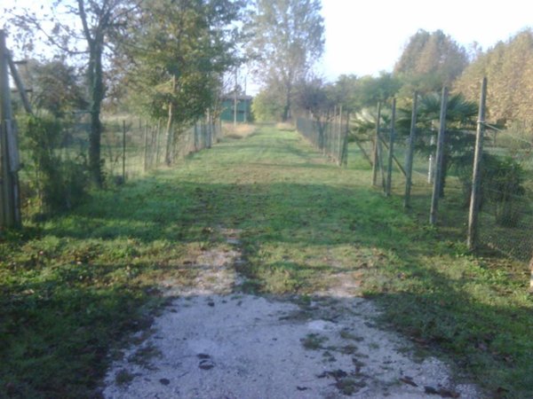 terreno agricolo in vendita a Cartura in zona Cagnola