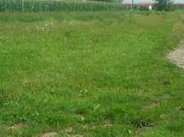 terreno edificabile in vendita a Cartura