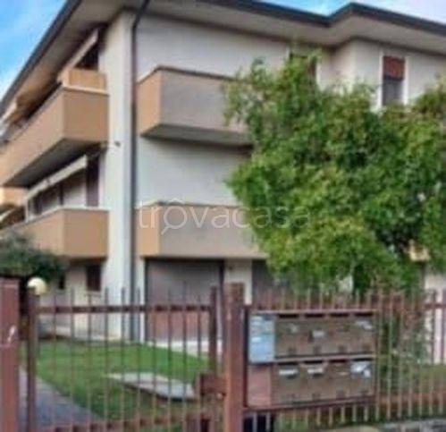 appartamento in vendita a Cartura