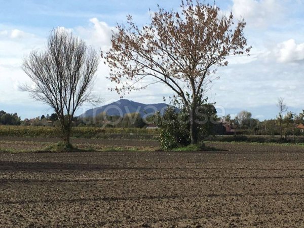 terreno agricolo in vendita a Cartura