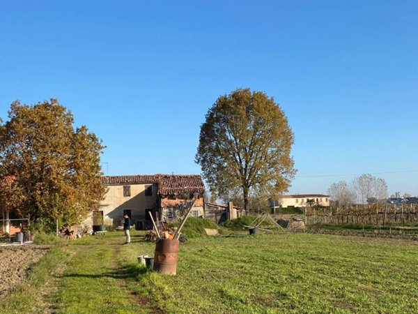 casa indipendente in vendita a Cartura