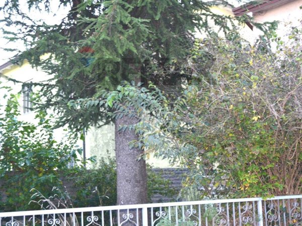 casa indipendente in vendita a Cartura in zona Cagnola