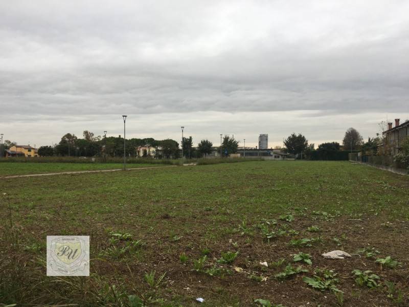 casa indipendente in vendita a Casale di Scodosia