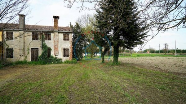 terreno agricolo in vendita a Casale di Scodosia