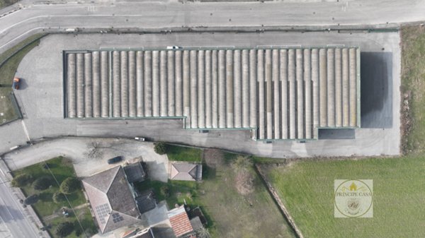 capannone in vendita a Casale di Scodosia