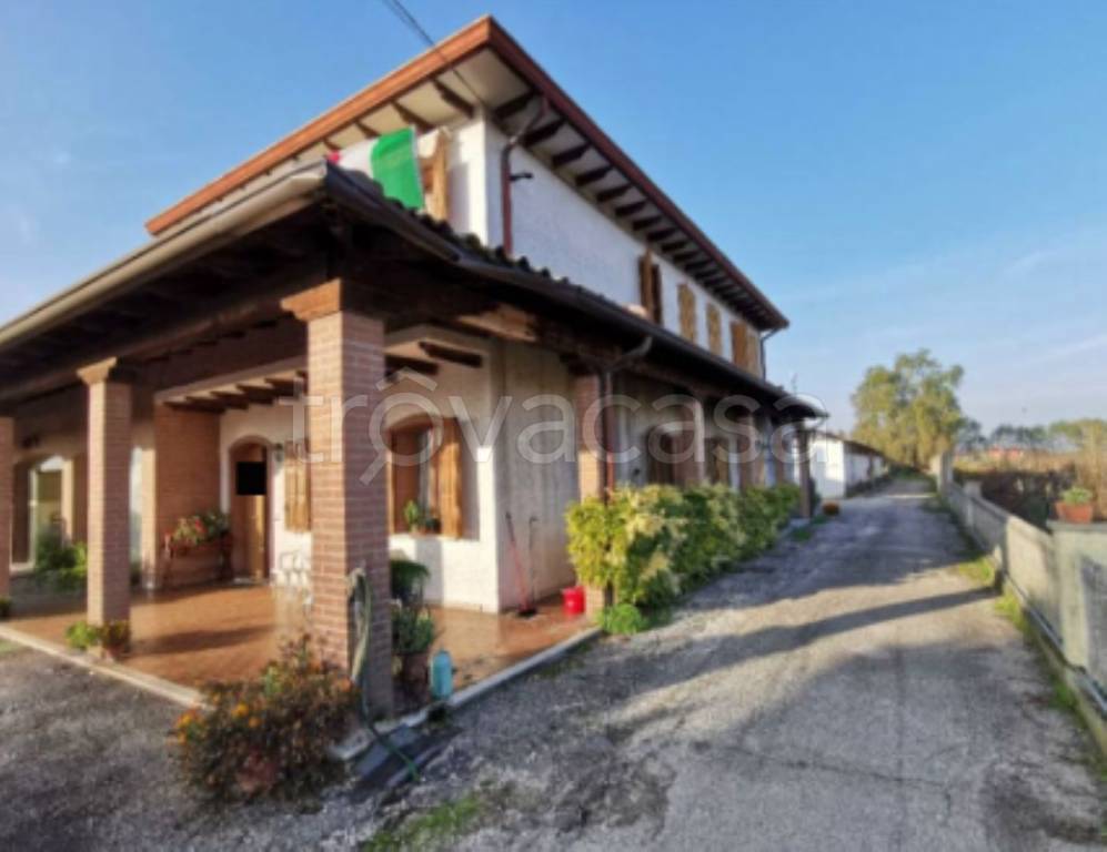 casa indipendente in vendita a Casale di Scodosia