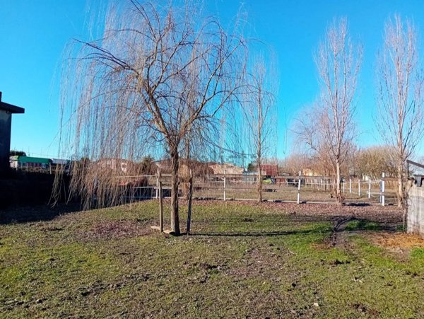 casa indipendente in vendita a Casale di Scodosia