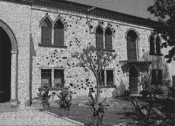 casa indipendente in vendita a Casale di Scodosia