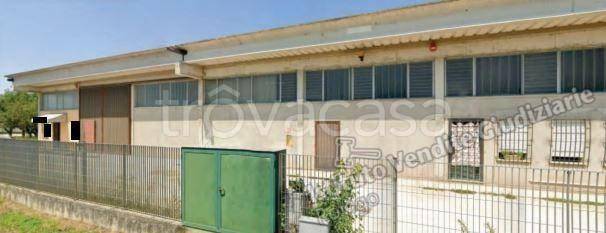 casa indipendente in vendita a Casale di Scodosia