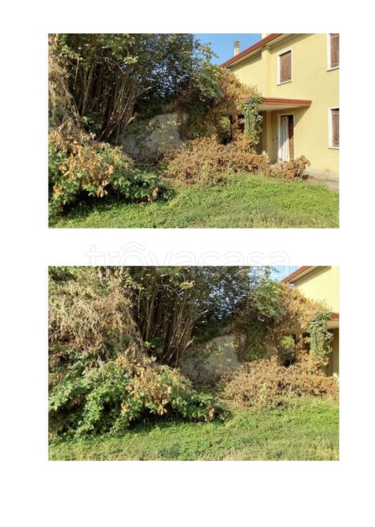 casa indipendente in vendita a Casale di Scodosia in zona Altaura