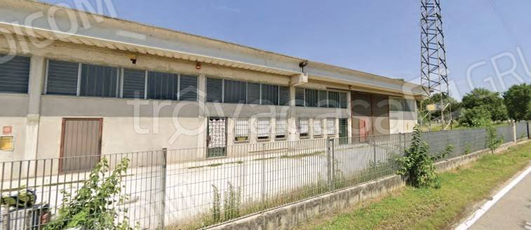 locale commerciale in vendita a Casale di Scodosia