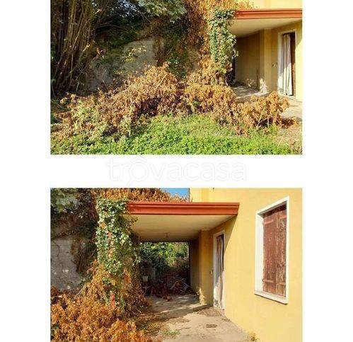 casa indipendente in vendita a Casale di Scodosia