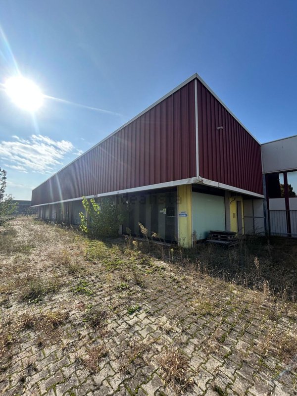 casa indipendente in vendita a Casale di Scodosia