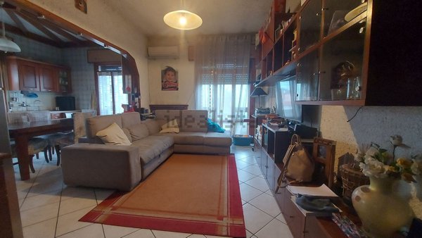 casa indipendente in vendita a Casale di Scodosia