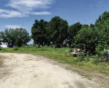 casa indipendente in vendita a Casale di Scodosia