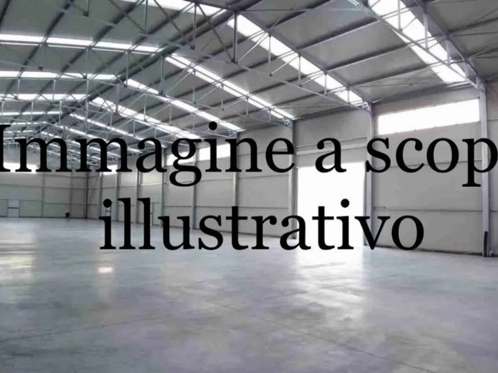 negozio in vendita a Casale di Scodosia