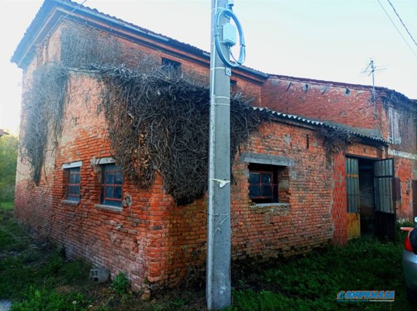 casa indipendente in vendita a Casale di Scodosia