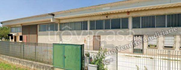 locale commerciale in vendita a Casale di Scodosia