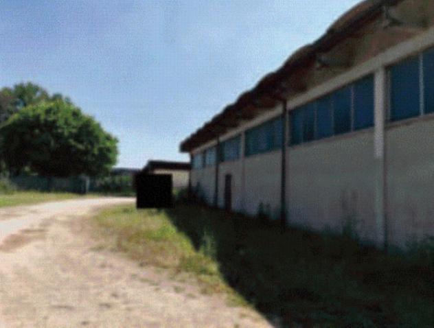 negozio in vendita a Casale di Scodosia