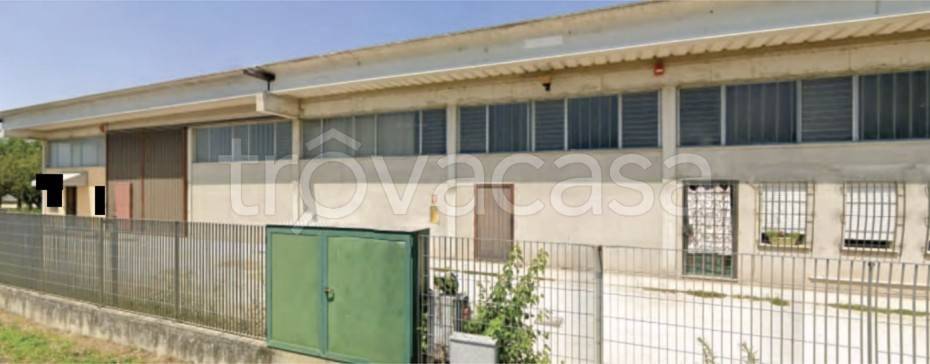 locale commerciale in vendita a Casale di Scodosia