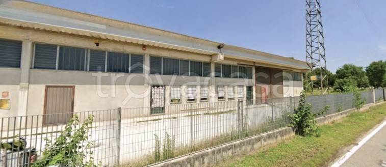 locale commerciale in vendita a Casale di Scodosia