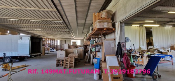 capannone in vendita a Casale di Scodosia