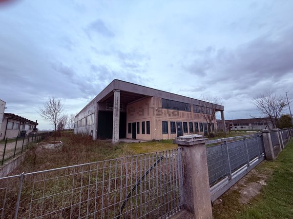 terreno edificabile in vendita a Casale di Scodosia