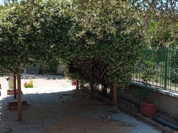 casa indipendente in vendita a Casale di Scodosia