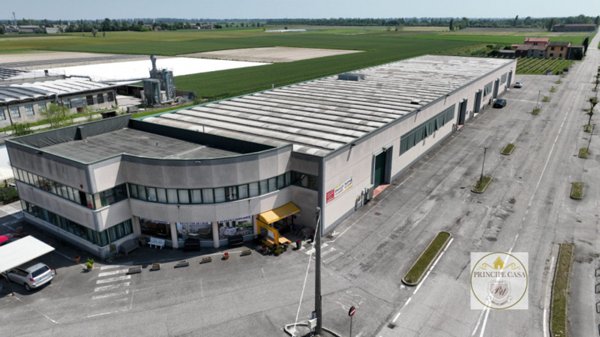 capannone in vendita a Casale di Scodosia in zona Altaura