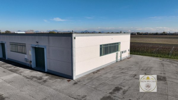 casa indipendente in vendita a Casale di Scodosia in zona Altaura