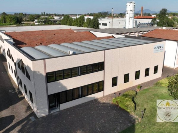 casa indipendente in vendita a Casale di Scodosia