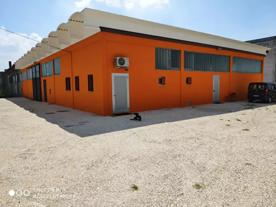 casa indipendente in vendita a Casale di Scodosia