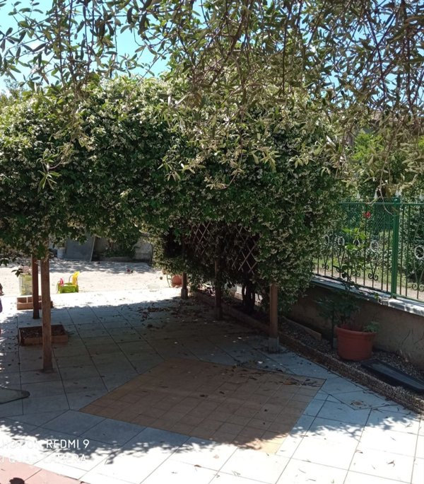 casa indipendente in vendita a Casale di Scodosia