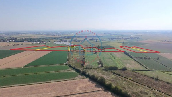terreno agricolo in vendita a Casale di Scodosia in zona Altaura