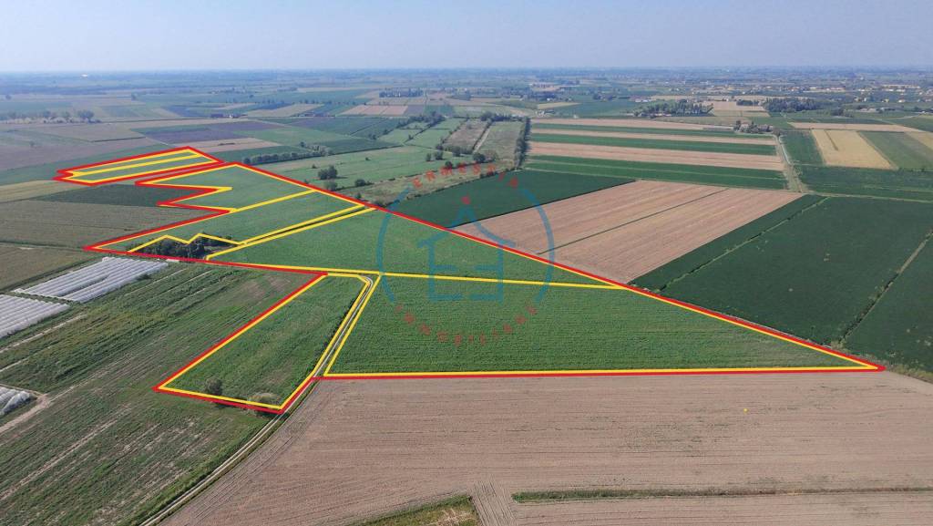 terreno in vendita a Casale di Scodosia in zona Altaura