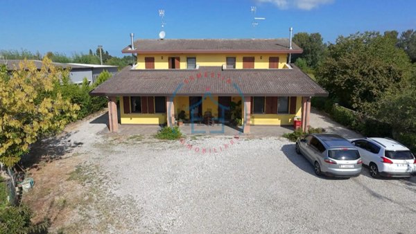 casa indipendente in vendita a Casale di Scodosia