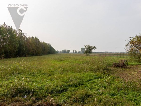 terreno agricolo in vendita a Casalserugo