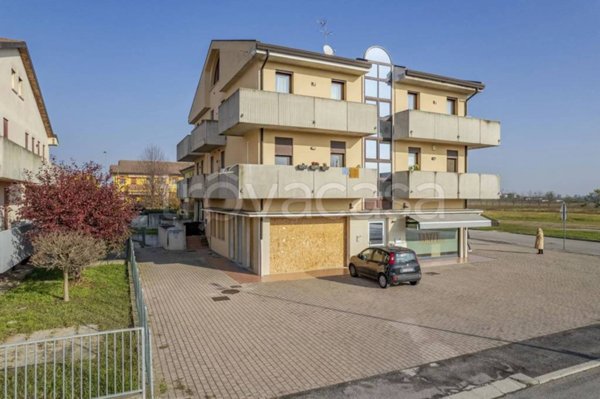 negozio in vendita a Casalserugo