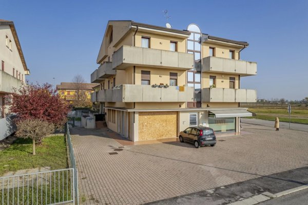 negozio in vendita a Casalserugo