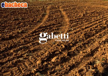 terreno agricolo in vendita a Casalserugo