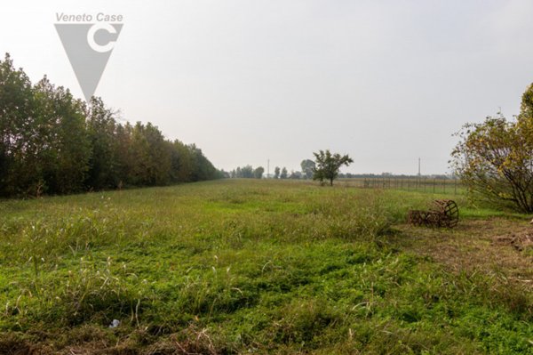 terreno edificabile in vendita a Casalserugo