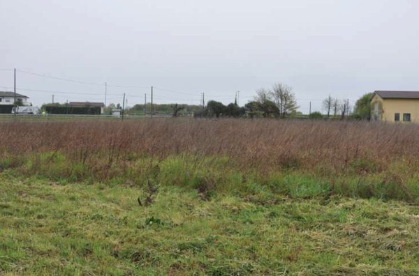terreno agricolo in vendita a Casalserugo