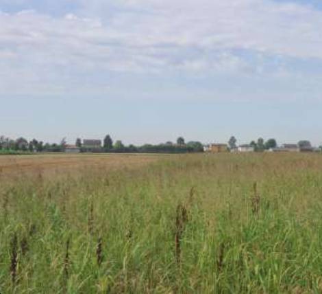terreno edificabile in vendita a Casalserugo