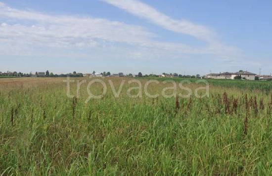terreno edificabile in vendita a Casalserugo