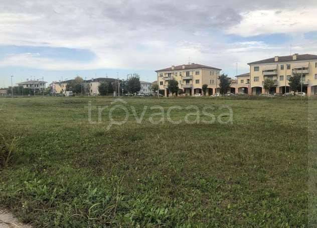 terreno agricolo in vendita a Casalserugo