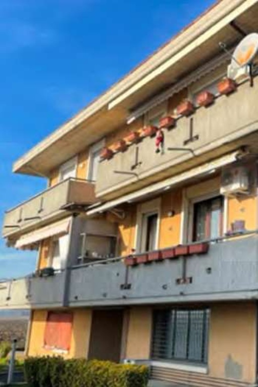 appartamento in vendita a Casalserugo